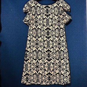 NWOT! Cute Cold Shoulders Dress
